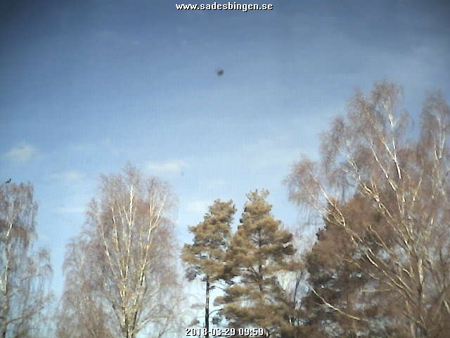 Webcam - updates every 15 min.